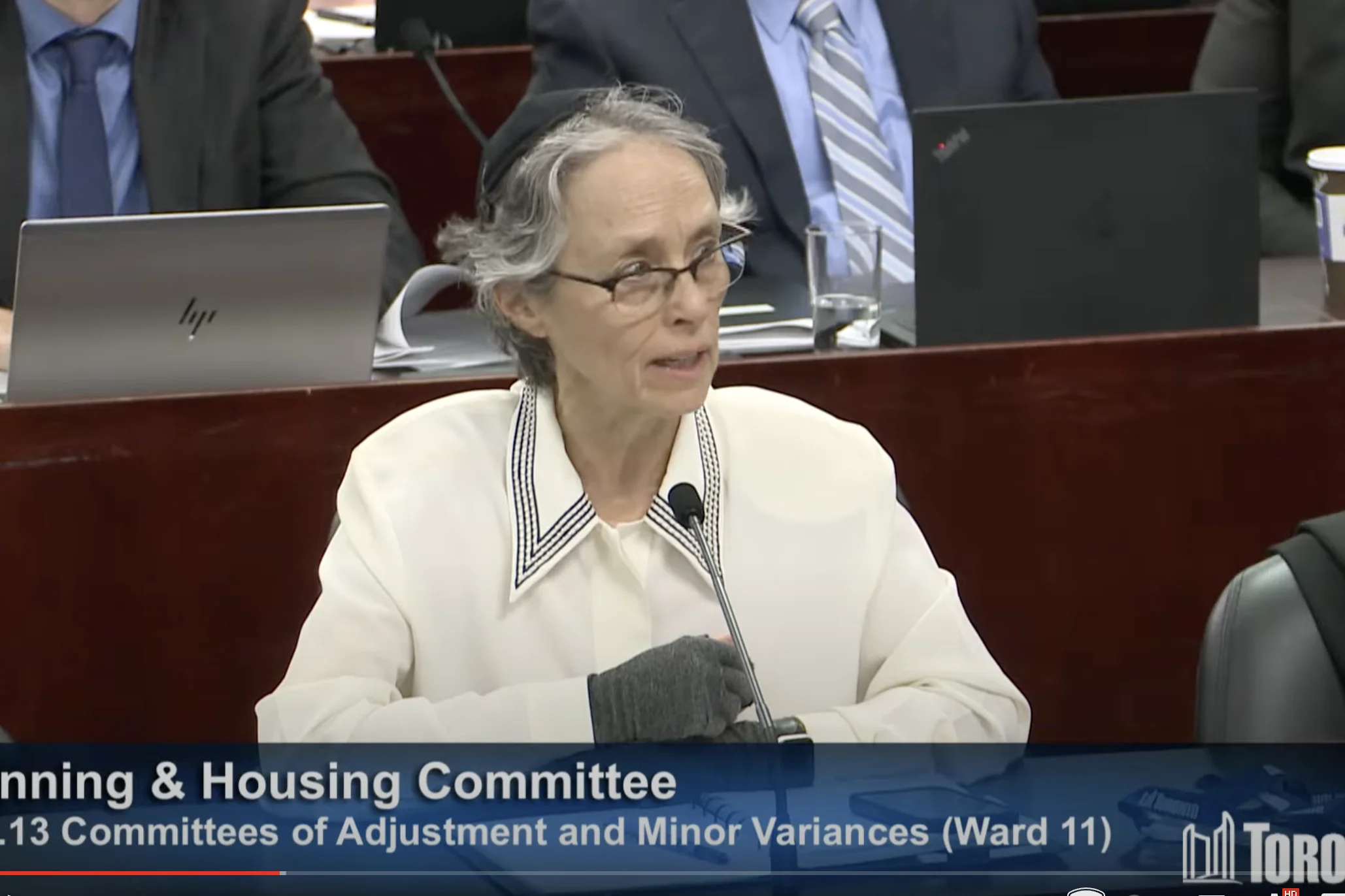 Councillor Dianne Saxe at Planning and Housing Committee, January 29, 2024